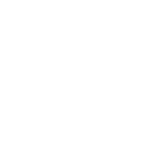 BINARY/LEVEL PLAN Icon