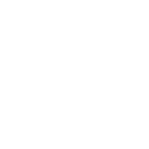 CUSTOMIZED/INVESTMENT PLAN Icon